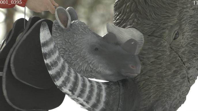 Puppet version of the Woolly Rhinos 