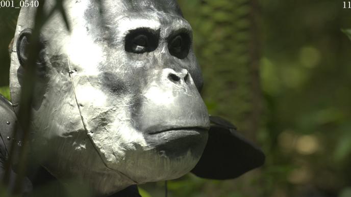 Puppet of a Gigantopithecus