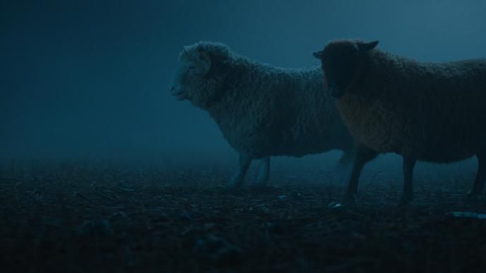 CGI Mopple and Lily in a dark field, in Amazon's The Sheep Detectives
