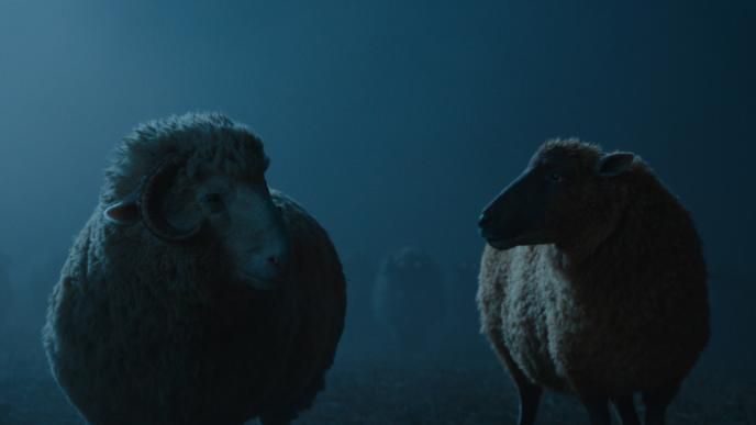 CGI Mopple and Lily in a dark field, in Amazon's The Sheep Detectives