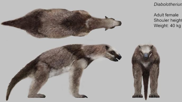 Concept Art of an adult sloth 