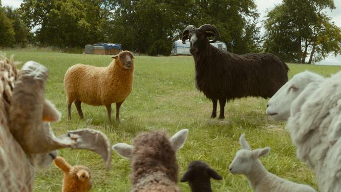 The final shot from the Sheep Detectives. CGI Lily and Sebastian address the rest of the flock