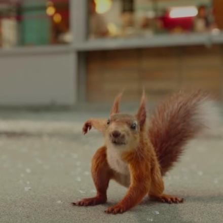 a red squirrel standing in a superhero position