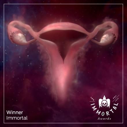 cg animated uterus