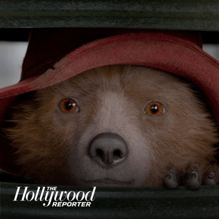 close up of paddington bear face wearing a hat poking his face out of a bin