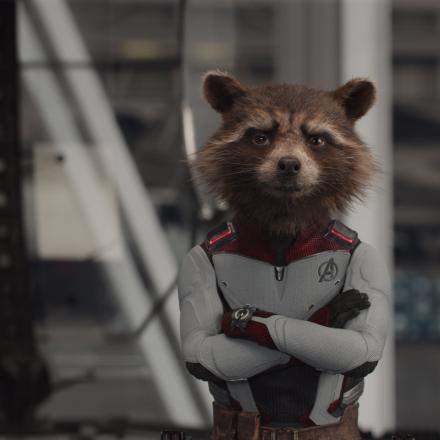 rocket raccoon wearing an avengers suit