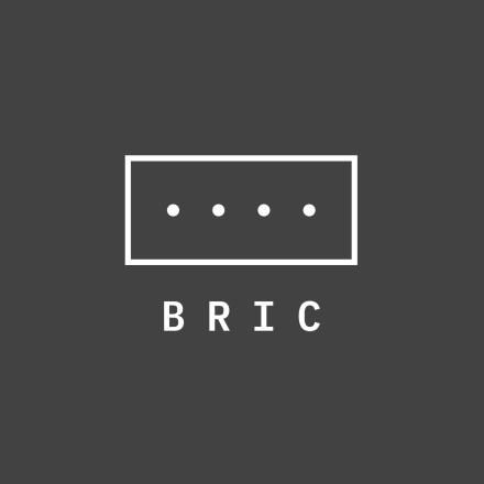 BRIC Logo