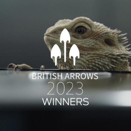 British Arrow 2023 Winners