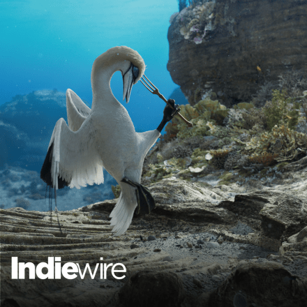 A still from the 2023 live-action Little Mermaid showing Scuttle, a gannet, playing with a fork.