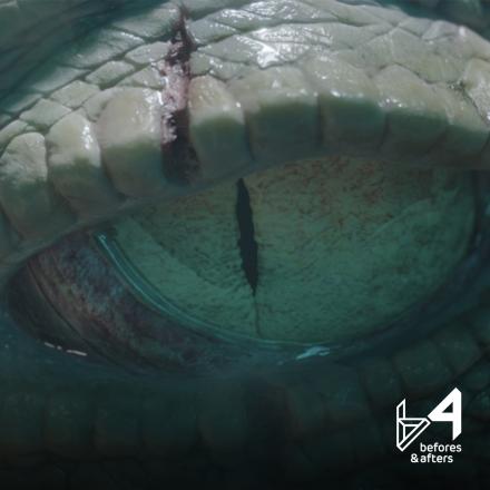 A very close up shot of an albino alligators eye.