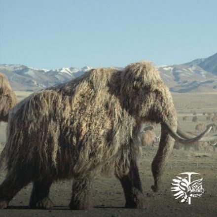 A CGI Woolly Mammoth walking across a grassy plain, there is the Skeleton Crew logo in the bottom right. 